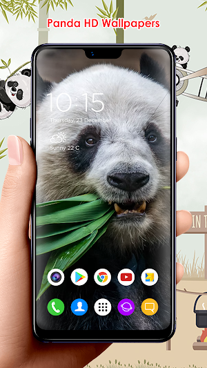 Panda HD Wallpapers Screenshot 3