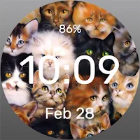 A bunch of cats - Watch Face