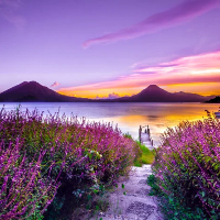 Colorful Landscapes