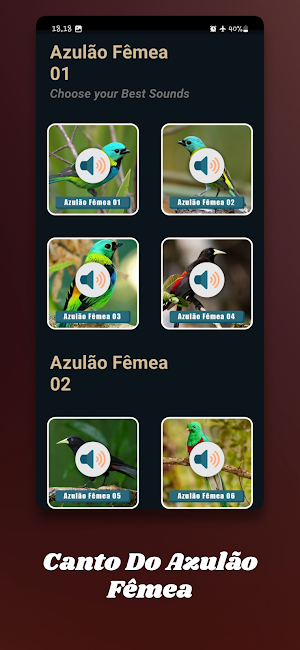 Canto Do Azulão Fêmea Screenshot 1