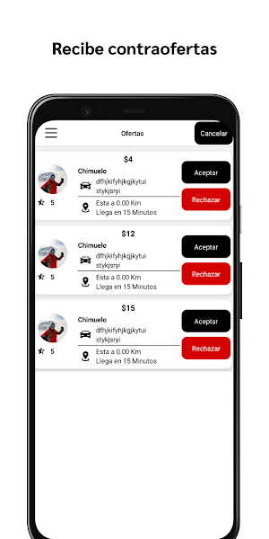 Taksi Subasta Screenshot 3