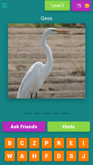 Birds Quiz Screenshot 2