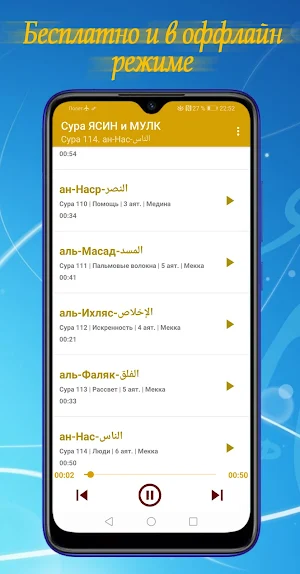 Сура Ясин и Мулк (mp3) + короткие суры Корана. Screenshot 1