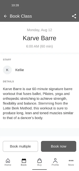 Karve Studio Screenshot 2