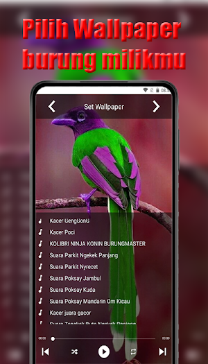 Suara burung masteran Screenshot 2