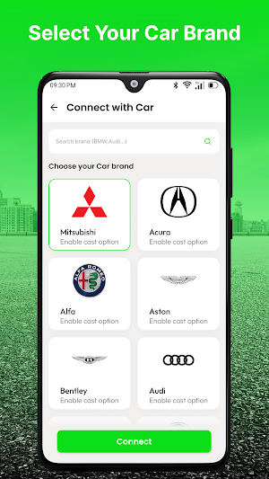 Zlink5 carplay Android Screenshot 1