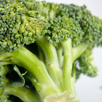 Broccoli Explanation