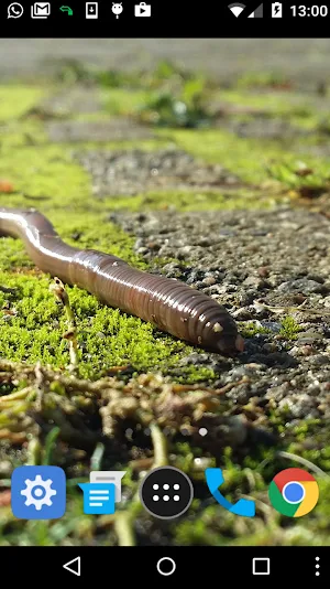 earthworm wallpaper Screenshot 1