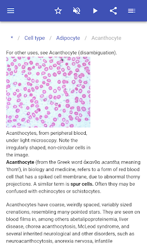 Cell type Screenshot 3