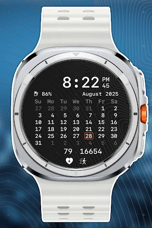 nbWatch Calendar Pro WFF Screenshot 2