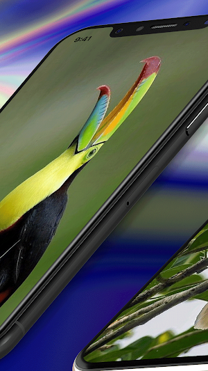 Toucan Wallpaper 4K Screenshot 1