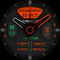 Watch Face WF111