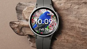 Blue Bird - Watch Face Screenshot 1