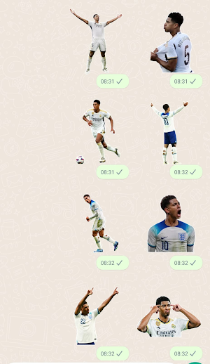 Bellingham Stickers Screenshot 2