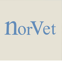 Yo Soy Norvet