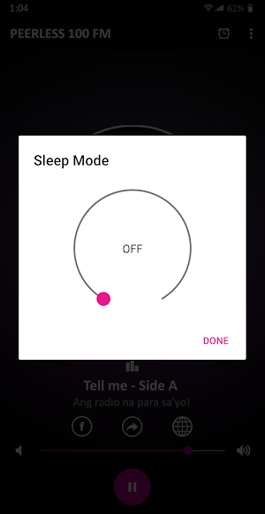 Peerless 100 FM Screenshot 1