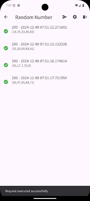 API Tester Screenshot 1