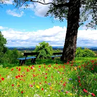 Nature Wallpaper HD