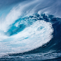 Sea Sounds
