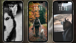 Husky Wallpapers 4K Screenshot 3