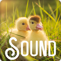 Duck Soundboard Ringtones