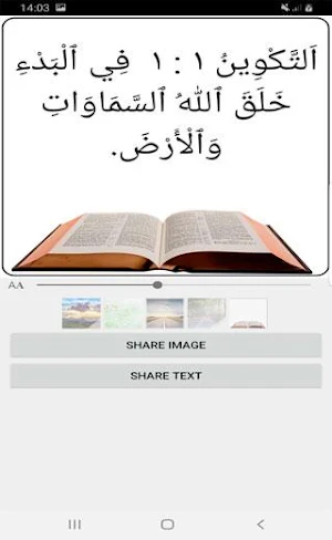 Audio Arabic Bible Screenshot 0