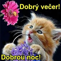 Dobrý večer Dobrou noc
