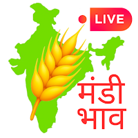 Daily Mandi Bhav: Live Rates