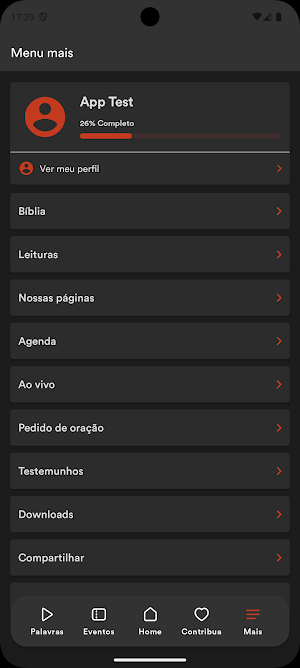 I.C.A. Screenshot 2