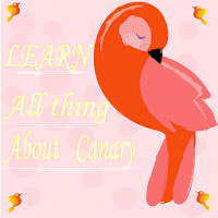 Learn all about Canary Birds w
