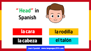 Learn Spanish - español Screenshot 0