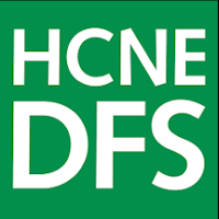 HCNE DFS Heidelbergcement NE