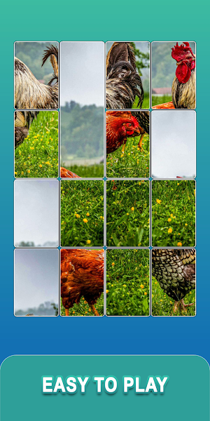 Jigsolitaire Puzzle Jigsaw Mix Screenshot 0