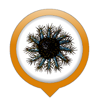 OREANET-NC