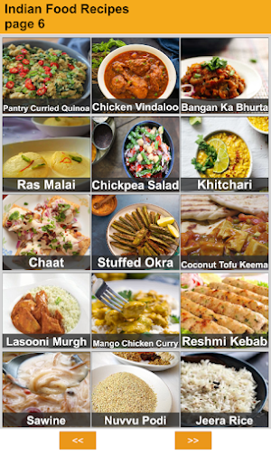 100 Indian Recipes Screenshot 1
