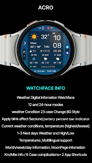 ACRO Digital Weather info2 WF Screenshot 3
