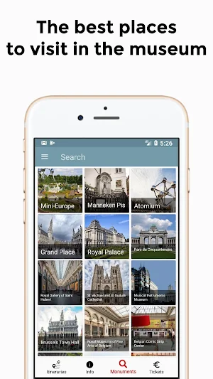 Brussels Guide & Tours Screenshot 1