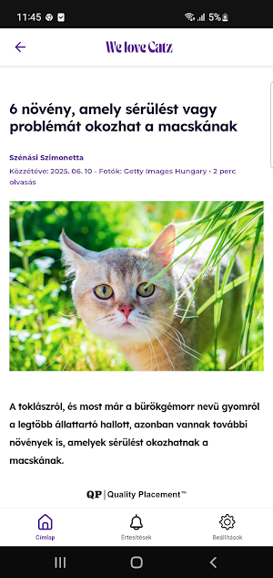We love Catz Screenshot 2