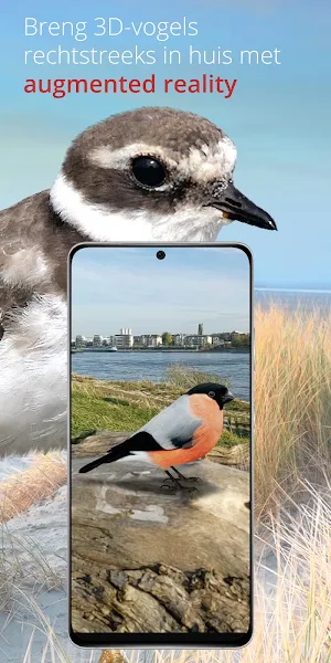 Vogels van Nederland en België Screenshot 3