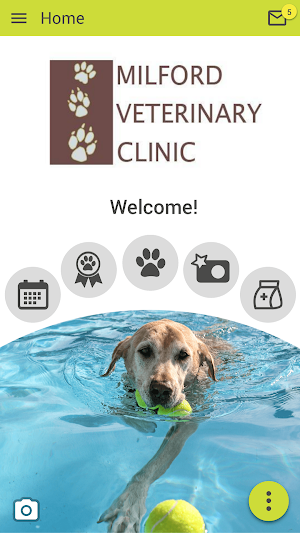 Milford Veterinary Clinic Screenshot 0