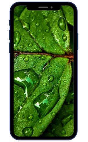 Water Wallpapers Screenshot 0