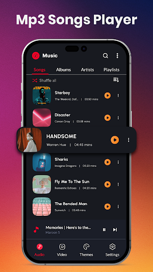 Offline Music Player & MP3 Screenshot 1