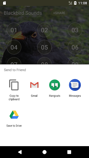 Black Bird Call Sounds Screenshot 3