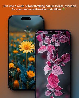 HD Nature Wallpaper Screenshot 3