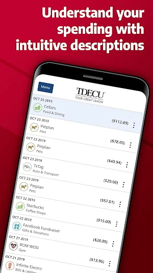 TDECU Digital Banking Screenshot 2