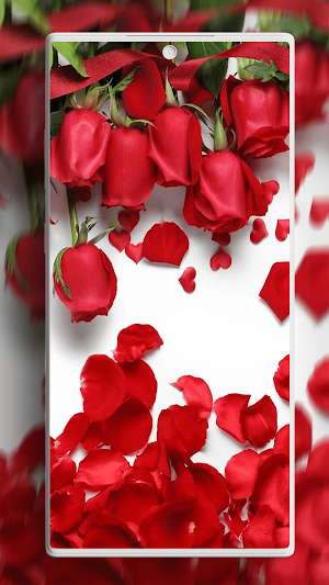 Rose Wallpaper Screenshot 2