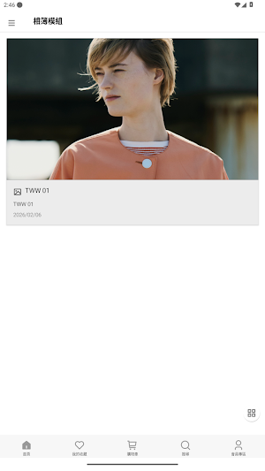 TWW 台灣官方網站 Screenshot 3