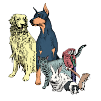 Gahanna Animal Hospital