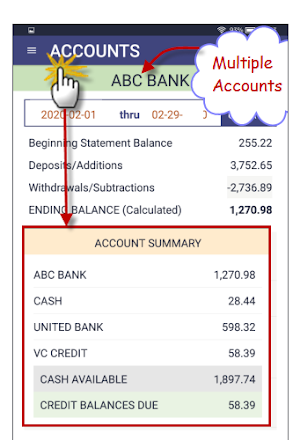 NetWorth2b Budget & Flow 2.0-P Screenshot 0