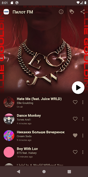 Пилот FM Screenshot 3
